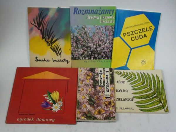 Leśne rośliny zielarskie/Kwiaty w ogródku/Rozmnażamy drzewa i krzewy liściaste/Bukiety i inne kompozycje z suchych roślin