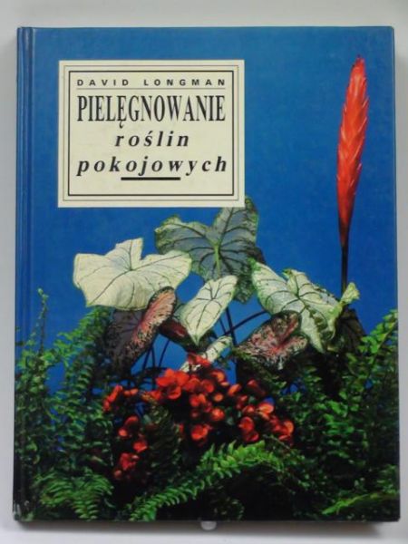 Pielęgnowanie roślin pokojowych