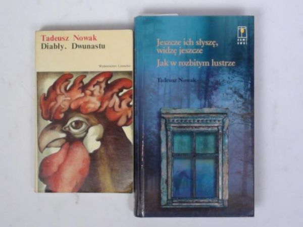 Diabły. Dwunastu. Jeszcze ich słyszę, widzę jeszcze. 2 książki