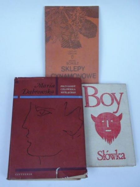 Boy, Schulz, Dąbrowska - Literatura polska, 3 książki