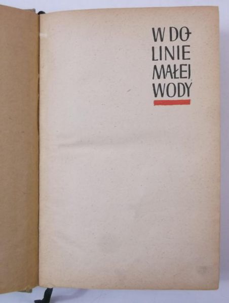 Młodożeniec Stanisław - W dolinie małej wody