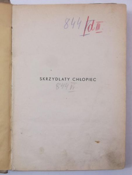Skrzydlaty chłopiec, 1934 r.