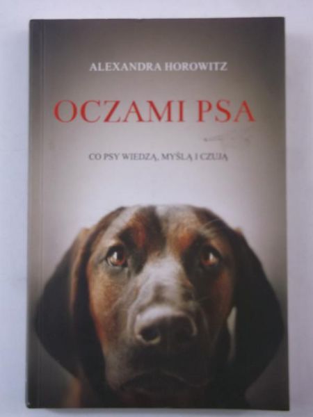 Oczami psa