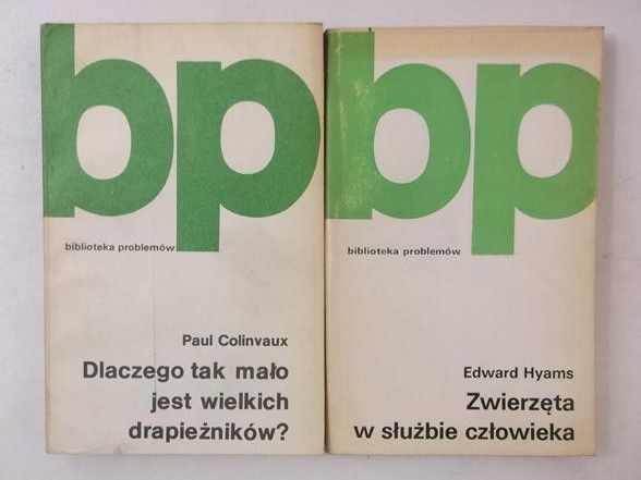 Zwierzęta w służbie człowieka/Dlaczego tak mało jest wielkich drapieżników