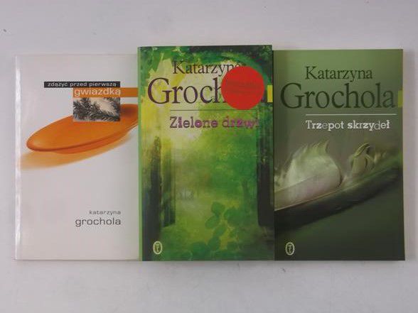 Grochola Katarzyna - Zielone drzwi/Trzepot skrzydeł/Zdążyć przed pierwszą gwiazdką