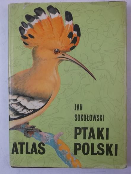 Ptaki polski