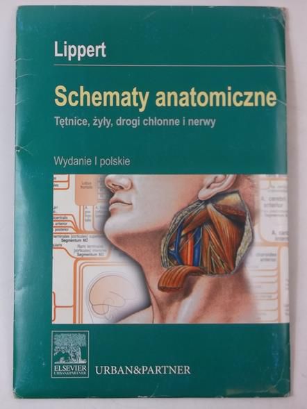 Schematy anatomiczne. Tętnice, żyły, drogi chłonne i nerwy