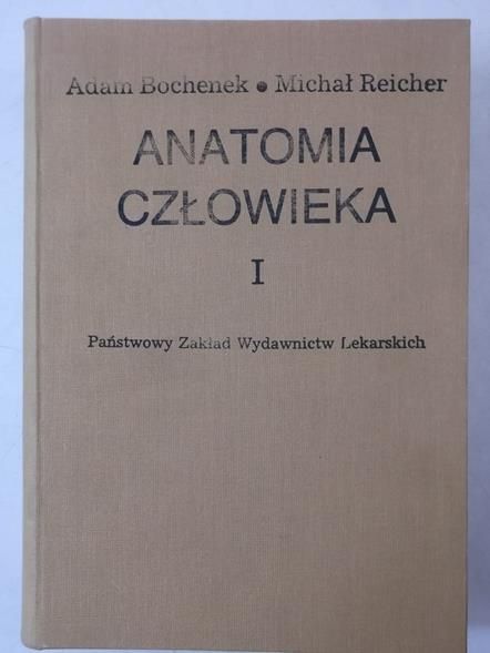 Anatomia człowieka I