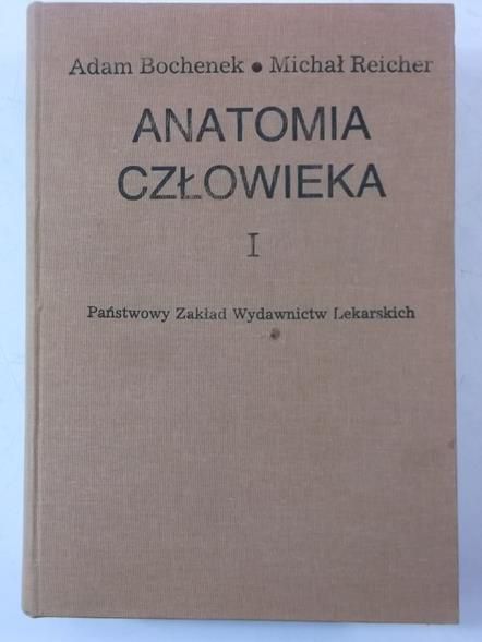 Anatomia człowieka I