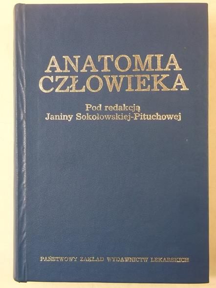 Anatomia człowieka