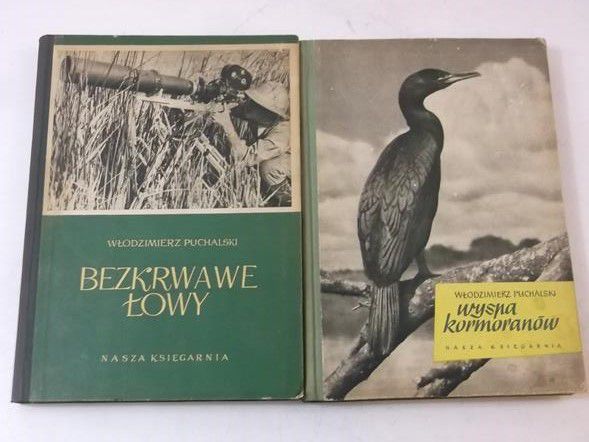 Bezkrwawe łowy / Wyspa kormoranów