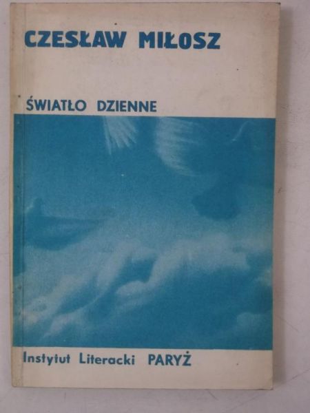 Światło dzienne