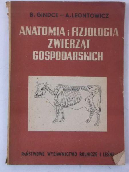 Gindce B. - Anatomia i fizjologia zwierząt gospodarskich