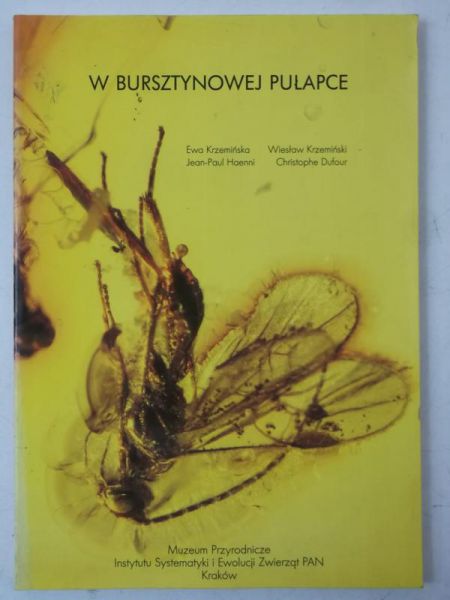 W bursztynowej pułapce