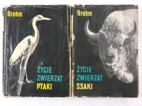 Brehm - Życie zwierząt. Ptaki / Ssaki