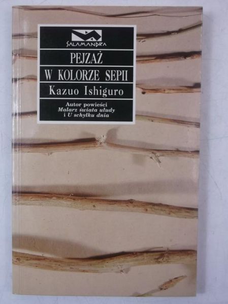 Pejzaż w kolorze sepii