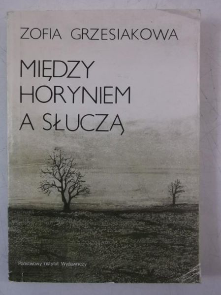 Między Horyniem a Słuczą