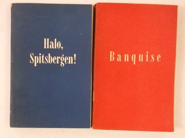 Halo, Spitsbergen!  Banquise