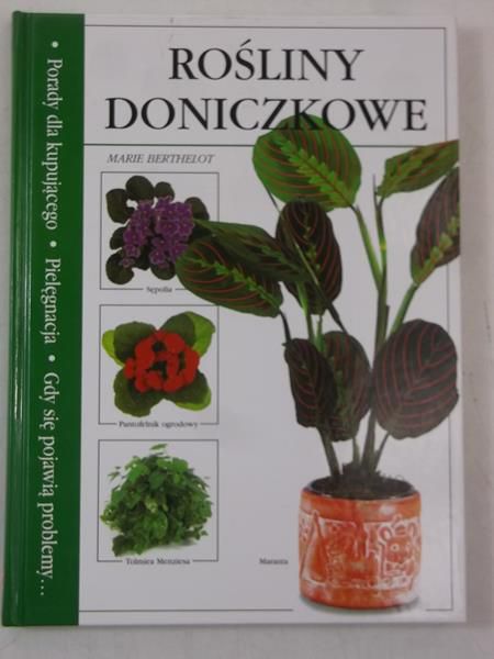 Rośliny doniczkowe