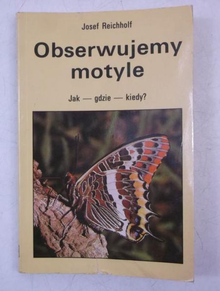 Obserwujemy motyle