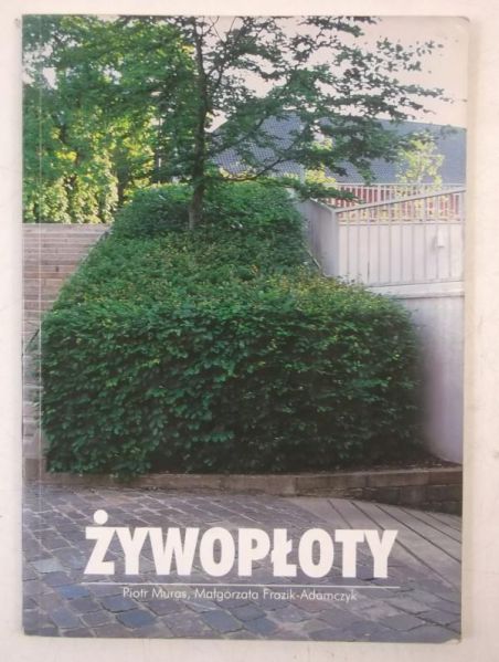 Żywopłot