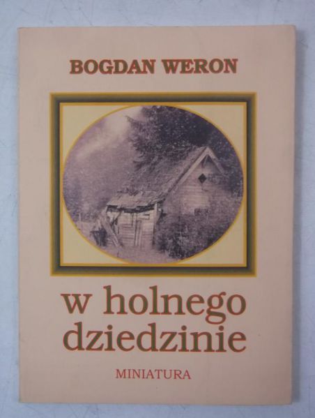 W holnego dziedzinie