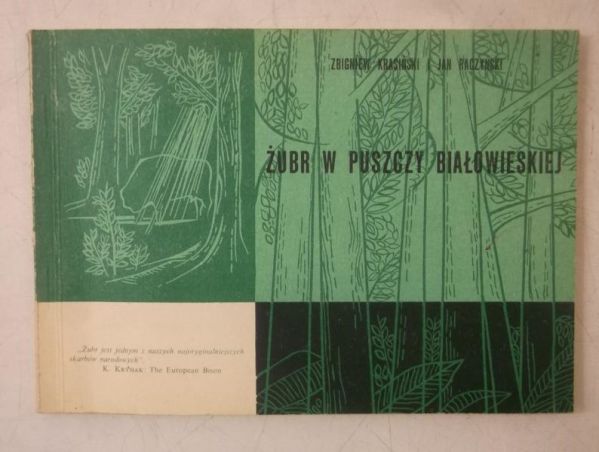 Żubr w puszczy białowieskiej