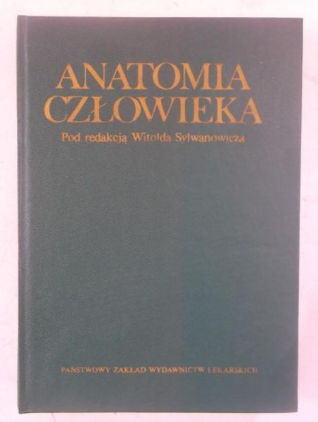 Anatomia człowieka