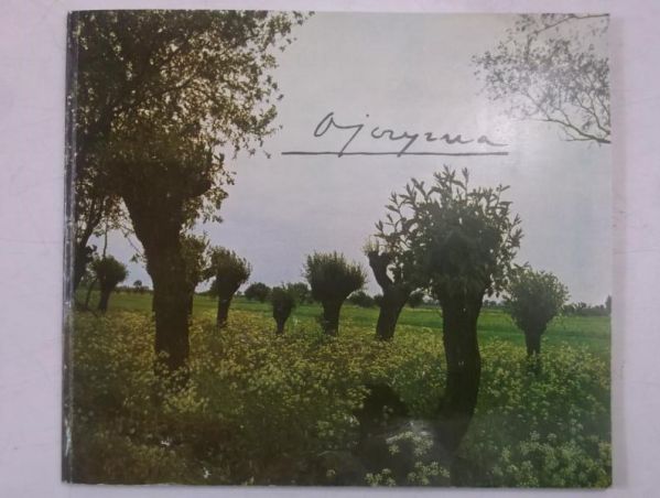 Ojczyzna