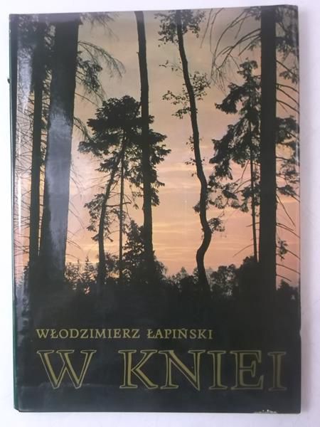 W kniei