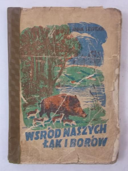 Lewicka Anna - Wśród naszych łąk i borów, 1945 r.