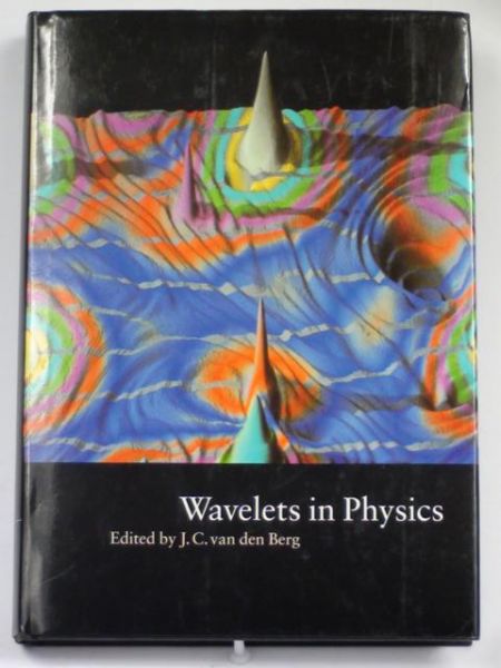 Wavelets in Physics