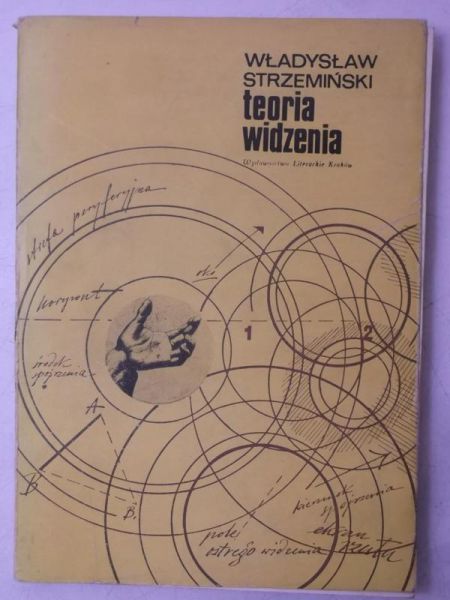 Teoria widzenia