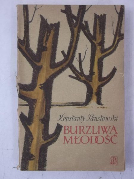 Paustowski Konstanty - Burzliwa młodość