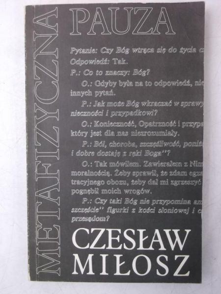 Metafizyczna pauza