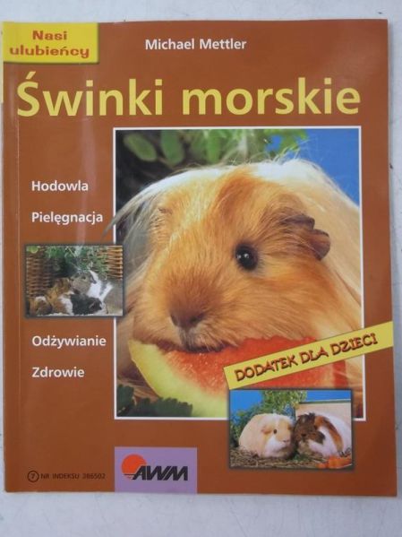 Świnki morskie