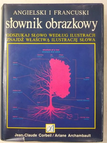 Słownik obrazkowy. Angielski i francuski