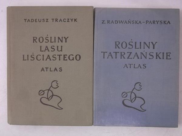 Rośliny tatrzańskie  Rośliny lasu liściastego