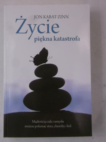 Życie piękna katastrofa