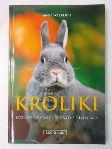 Króliki