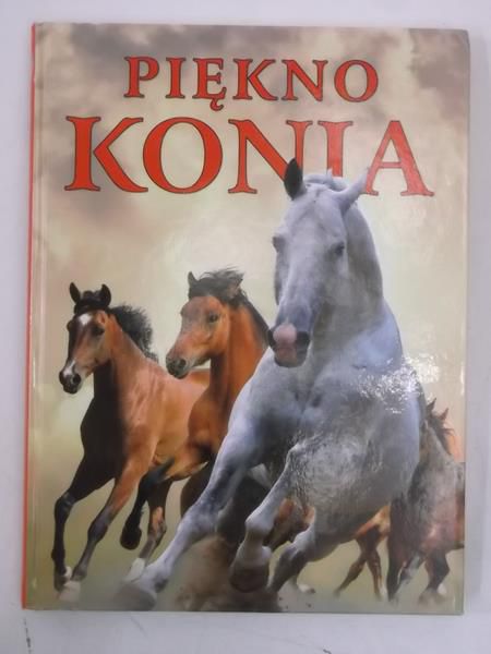 Piękno konia