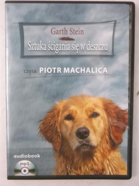 Stein Garth - Sztuka ścigania się w deszczu, Audiobook