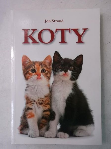 Koty