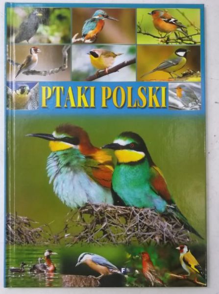 Ptaki Polski