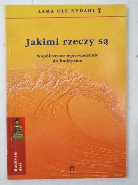 Nydahl Ole  - Jakimi rzeczy są