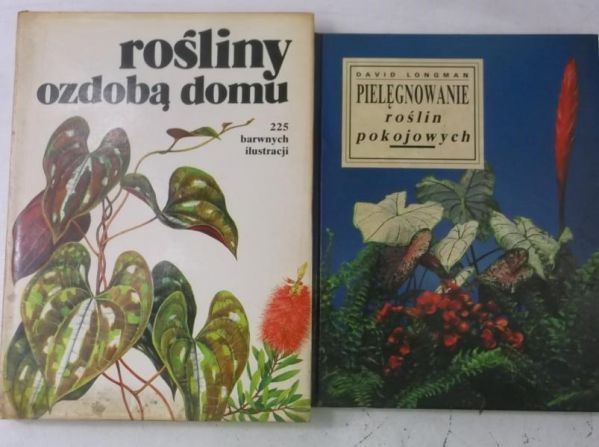 Rośliny ozdobą domu  Pielęgnowanie roślin pokojowych