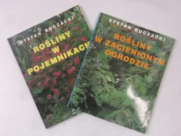 Rośliny w zacienionym ogrodzie / Rośliny w pojemnikach
