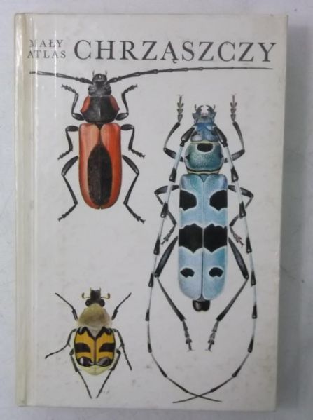 Mały atlas chrząszczy