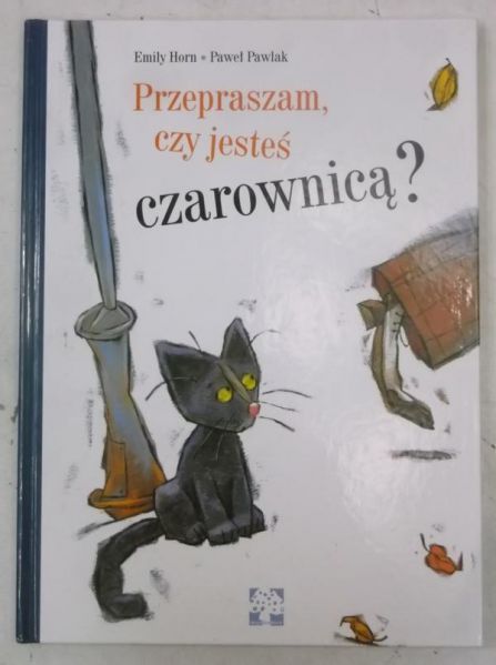 Przepraszam, czy jesteś czarownicą?