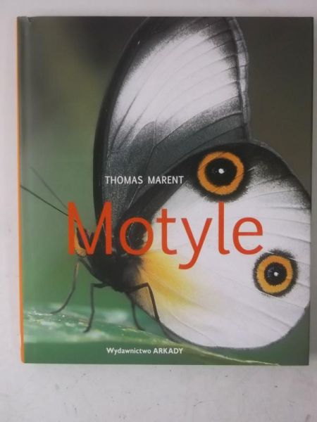Marent Thomas - Motyle